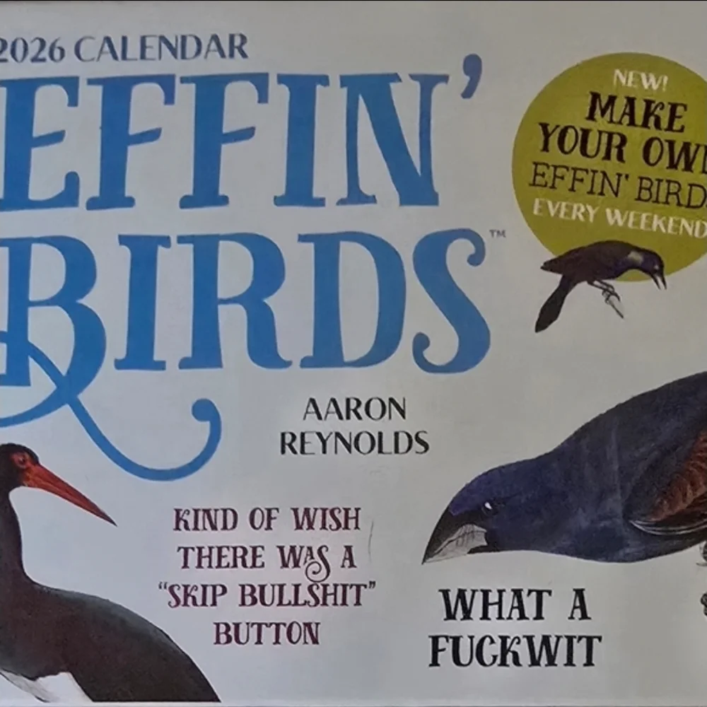 2026 Effin’ Birds Desk Calendar Funny Adult Humor Daily TearOff Bird Lovers Gift